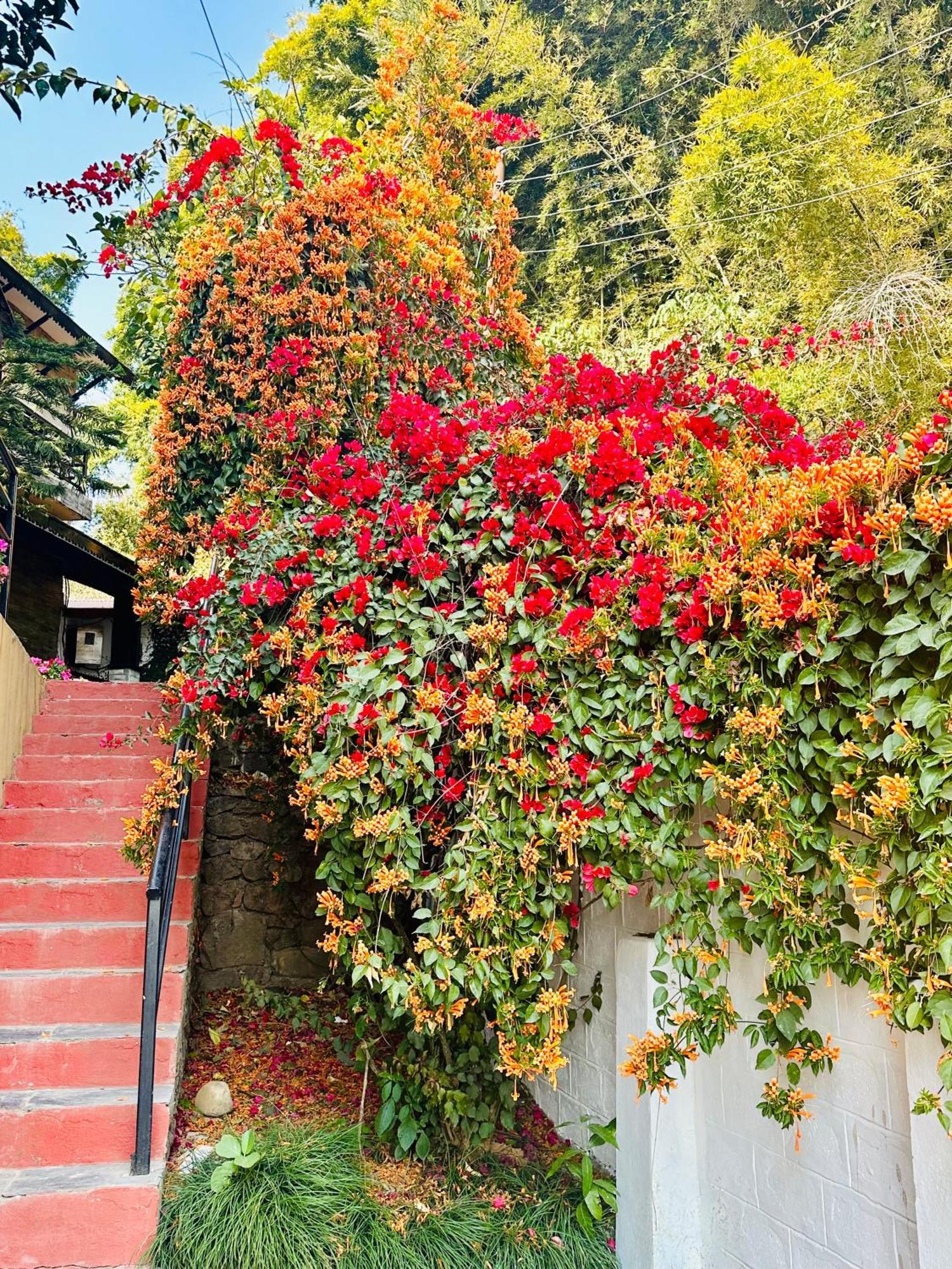 Homeland Forest Villa Pokhara Eksteriør bilde
