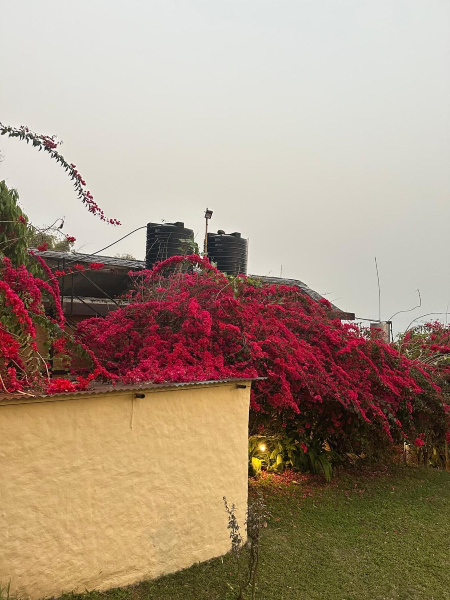 Homeland Forest Villa Pokhara Eksteriør bilde
