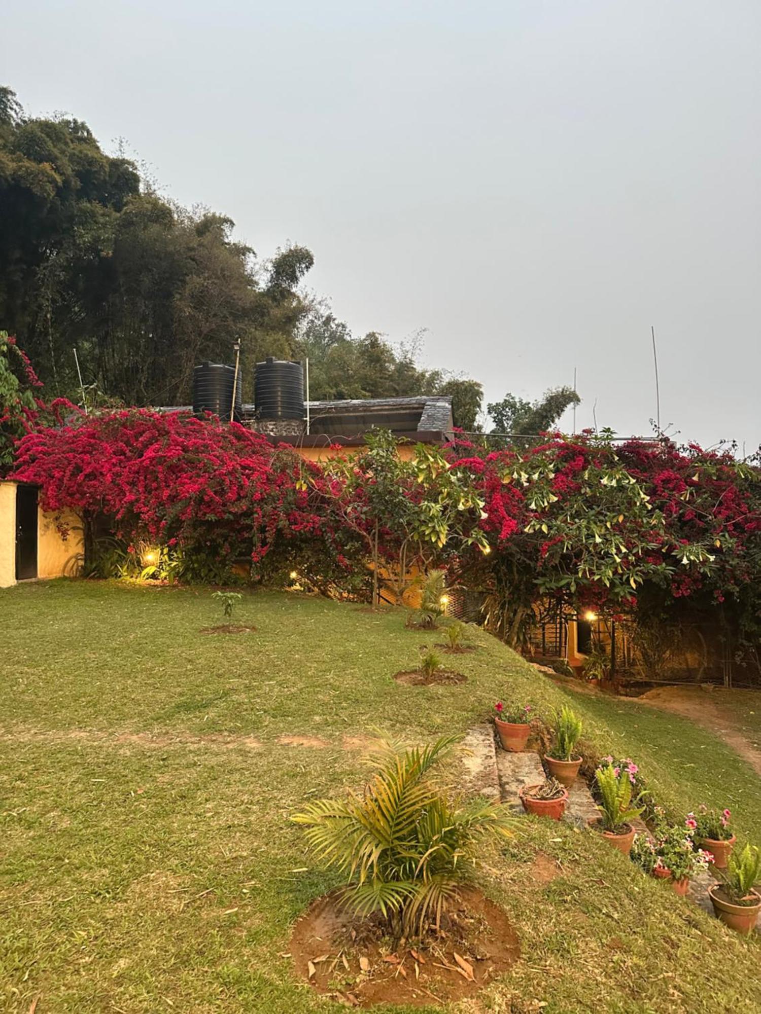 Homeland Forest Villa Pokhara Eksteriør bilde